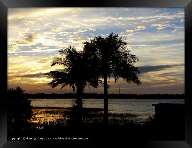 PALM TREES florida sunset   Framed Print by dale rys (LP)