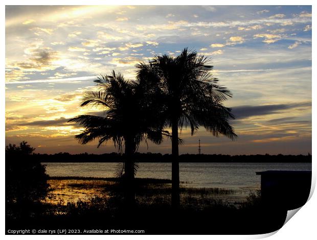 PALM TREES florida sunset   Print by dale rys (LP)