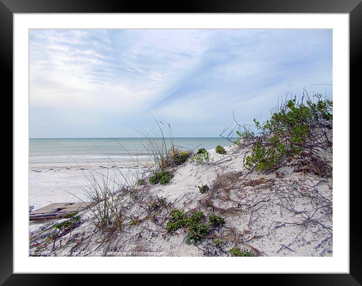 MADEIRA BEACH FLORIDA Framed Mounted Print by dale rys (LP)