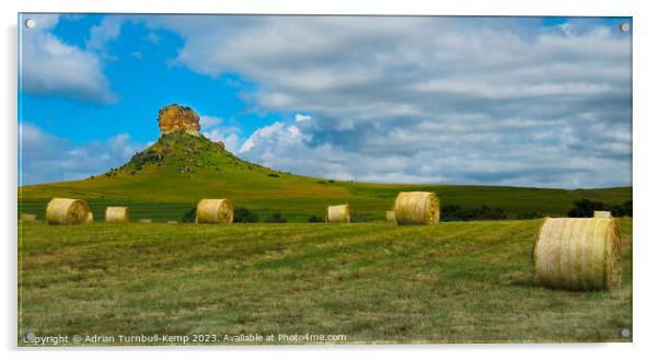 Hay bale harvest under Surrender Hill near Fouriesburg Acrylic by Adrian Turnbull-Kemp