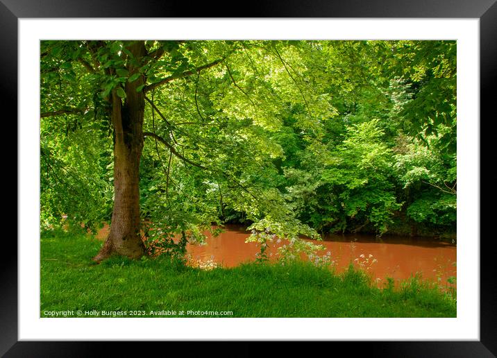 Walkl by the River Framed Mounted Print by Holly Burgess