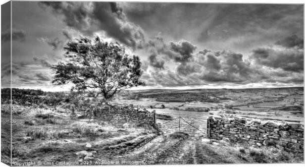 Magnificent Moors - North Yorkshire monochrome Canvas Print by Cass Castagnoli