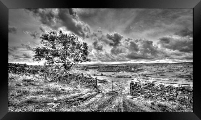 Magnificent Moors - North Yorkshire monochrome Framed Print by Cass Castagnoli