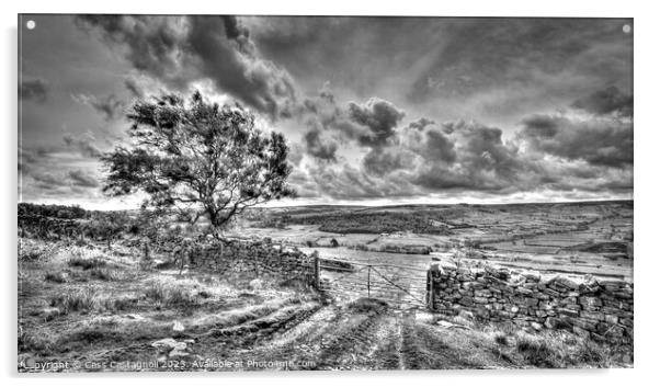 Magnificent Moors - North Yorkshire monochrome Acrylic by Cass Castagnoli