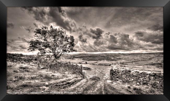 Magnificent Moors - North Yorkshire Framed Print by Cass Castagnoli