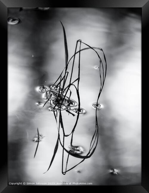 Pond reflections monochrome  Framed Print by Simon Johnson