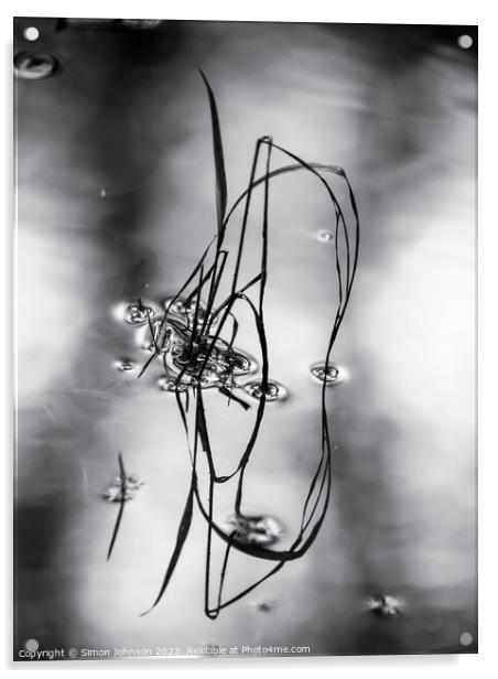 Pond reflections monochrome  Acrylic by Simon Johnson