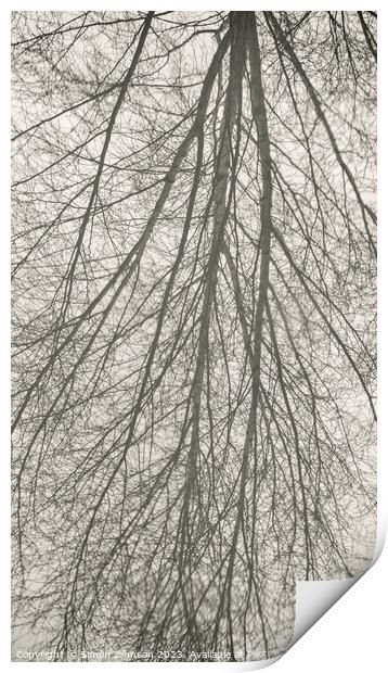 tree reflection Print by Simon Johnson