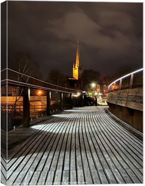 Norwich Cathedral from Jarrold Bridge at Night Canvas Print by Sally Lloyd