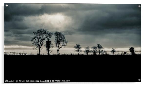 Tree silhouettes  Acrylic by Simon Johnson