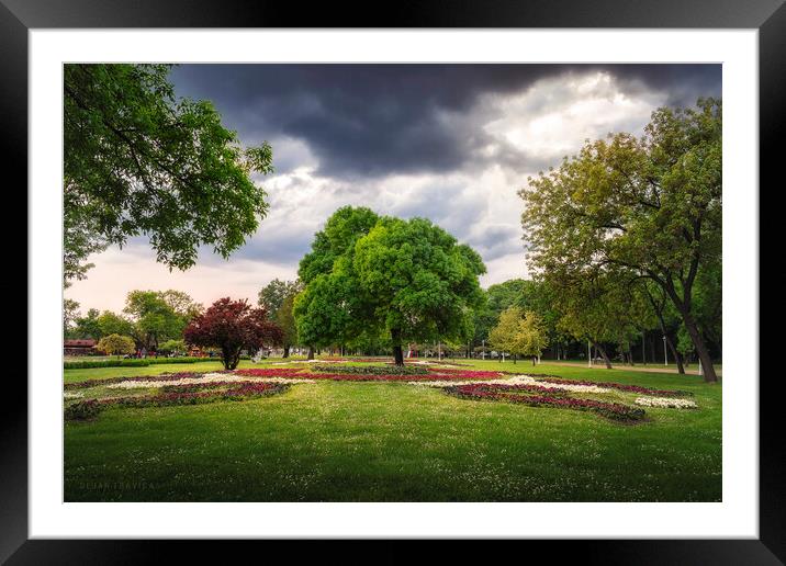 Palic Great park in the spring Framed Mounted Print by Dejan Travica