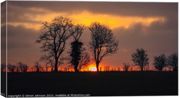 Tree silhouettes sunrise  Canvas Print by Simon Johnson