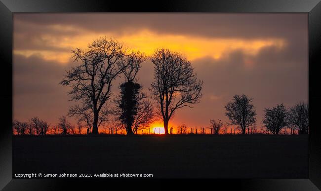 Tree silhouettes sunrise  Framed Print by Simon Johnson