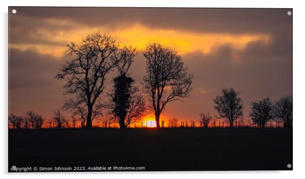 Tree silhouettes sunrise  Acrylic by Simon Johnson