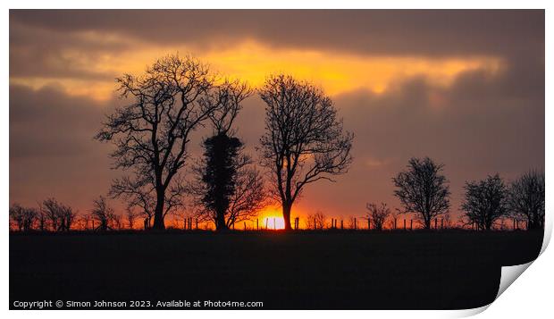 Tree silhouettes sunrise  Print by Simon Johnson
