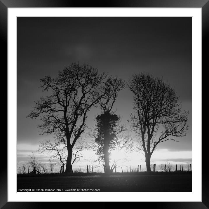 Tree silhouettes monochrome  Framed Mounted Print by Simon Johnson