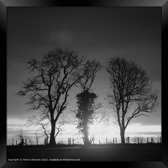 Tree silhouettes monochrome  Framed Print by Simon Johnson