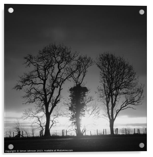 Tree silhouettes monochrome  Acrylic by Simon Johnson