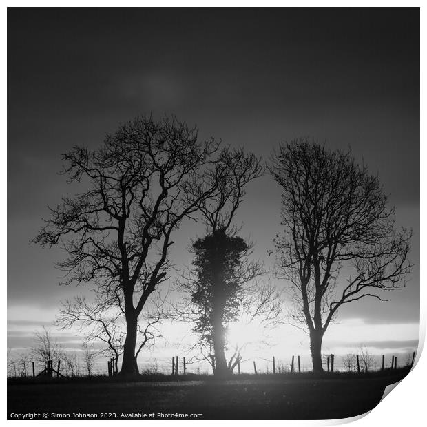 Tree silhouettes monochrome  Print by Simon Johnson