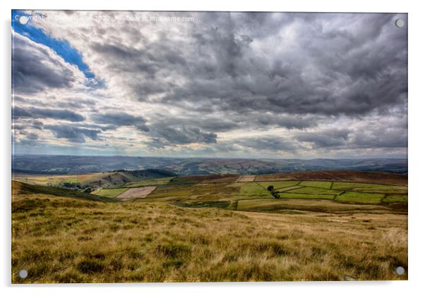 Mesmerising Hathersage Landscape Acrylic by Derek Daniel