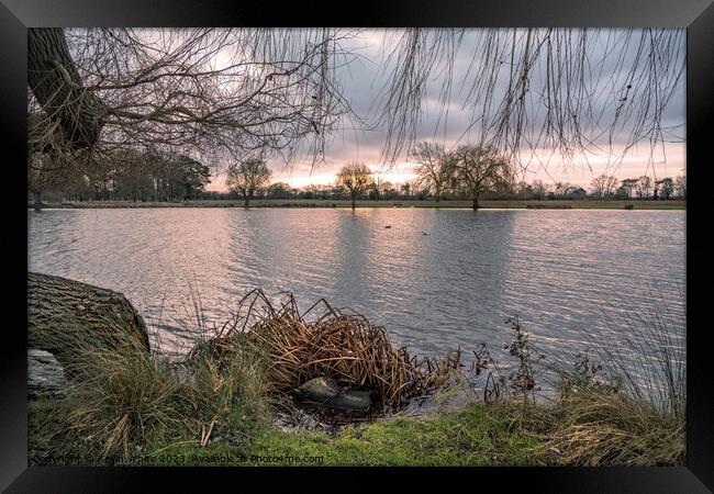 Mid winter dawn over a Surrey pond Framed Print by Kevin White