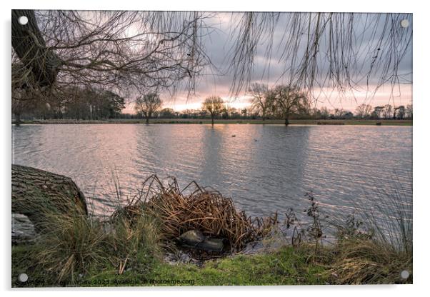 Mid winter dawn over a Surrey pond Acrylic by Kevin White