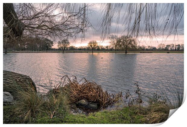 Mid winter dawn over a Surrey pond Print by Kevin White