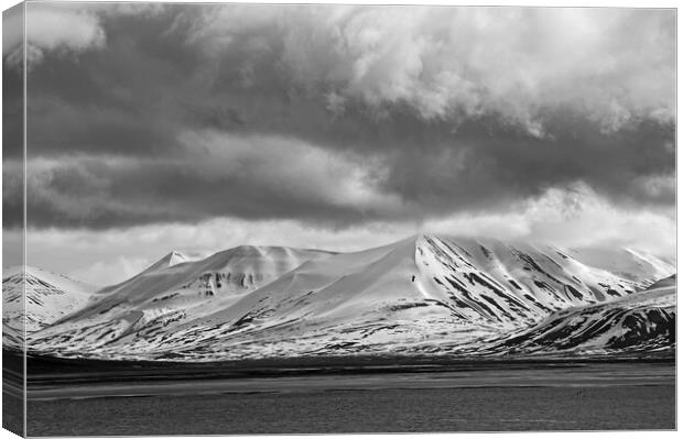 Arctic Landscape Svalbard Monochrome Canvas Print by Martyn Arnold