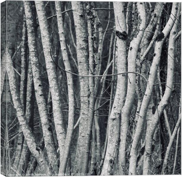 tree trunks Canvas Print by Simon Johnson