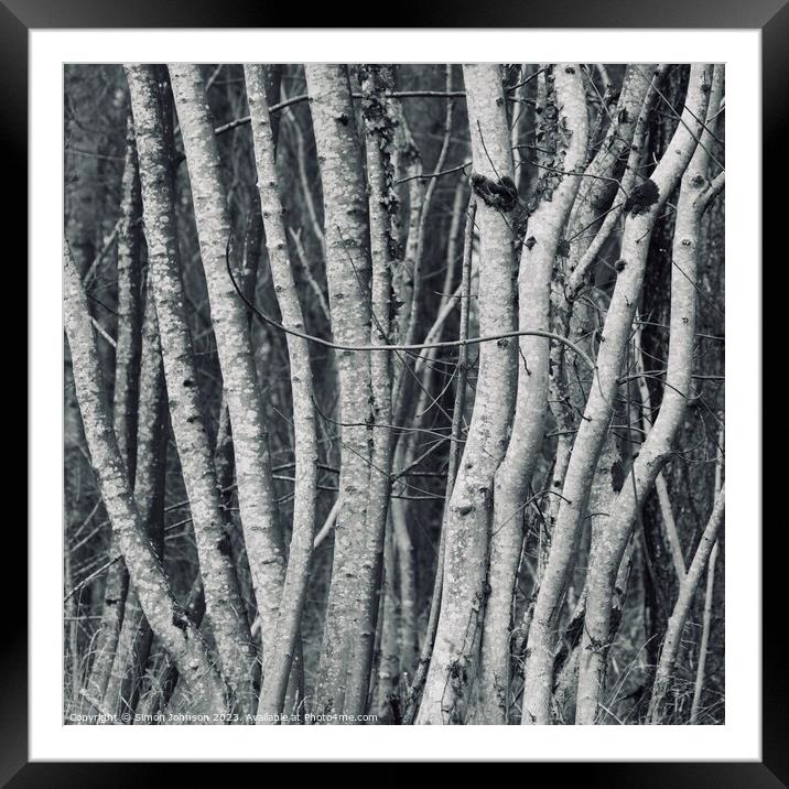 tree trunks Framed Mounted Print by Simon Johnson