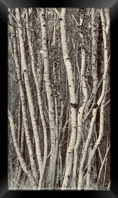 tree trunk patterns Framed Print by Simon Johnson