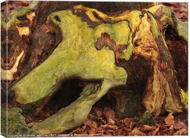 wood with lichen ( Colour in nature) Canvas Print by Simon Johnson