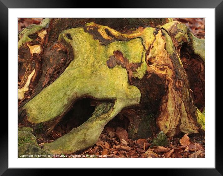 wood with lichen ( Colour in nature) Framed Mounted Print by Simon Johnson