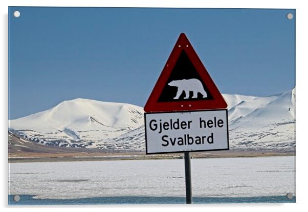Svalbard Landscape Acrylic by Martyn Arnold
