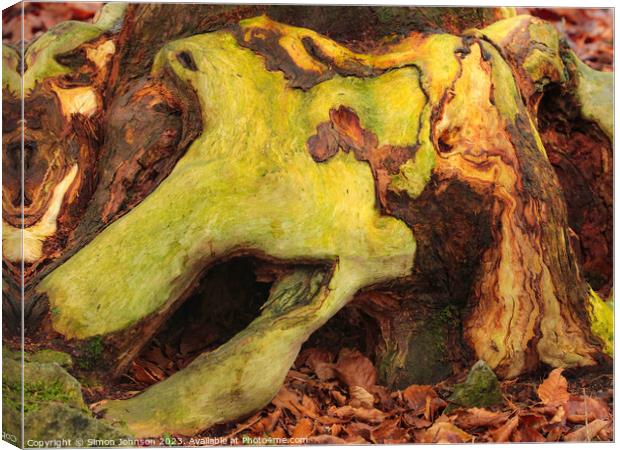 woodland bark with lichen Canvas Print by Simon Johnson