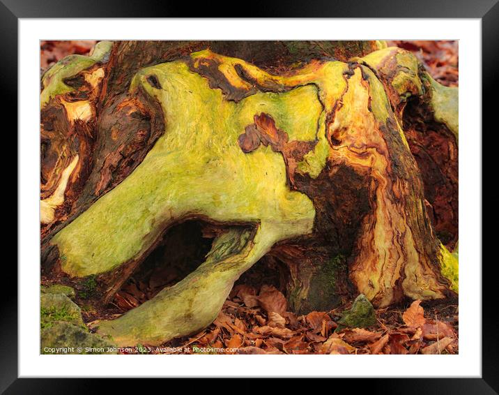 woodland bark with lichen Framed Mounted Print by Simon Johnson