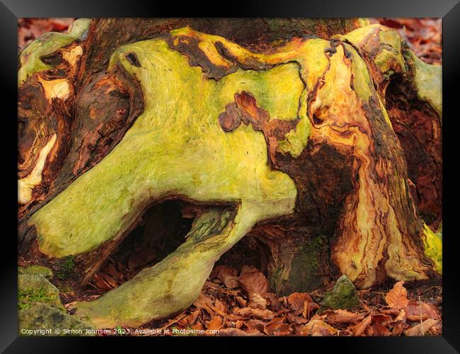 woodland bark with lichen Framed Print by Simon Johnson