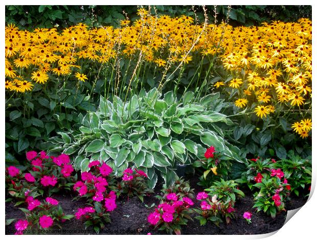 Flowers in the garden Print by Stephanie Moore