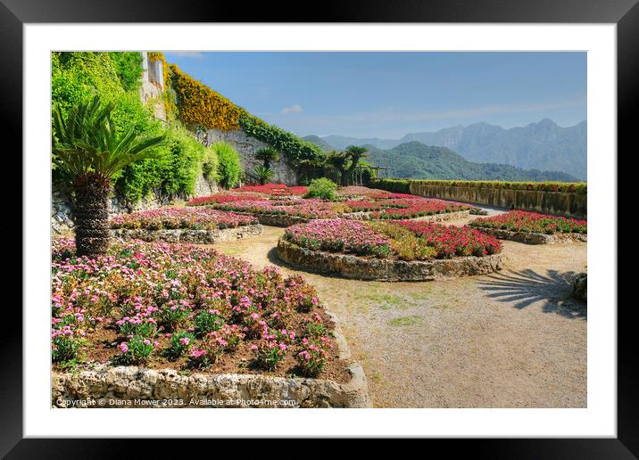 Ravello Gardens Italy Framed Mounted Print by Diana Mower