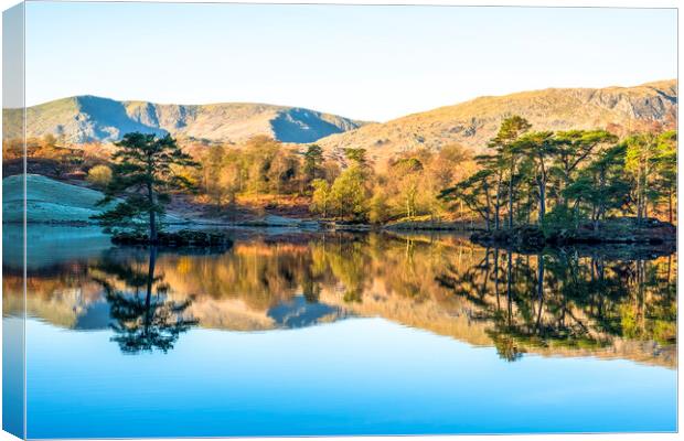 Tarn Hows Reflections: English Lake District Canvas Print by Tim Hill