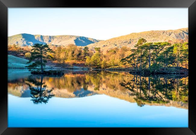 Tarn Hows Reflections: English Lake District Framed Print by Tim Hill
