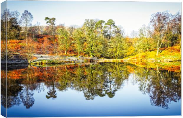 Tarn Hows Autumn Reflections Canvas Print by Tim Hill
