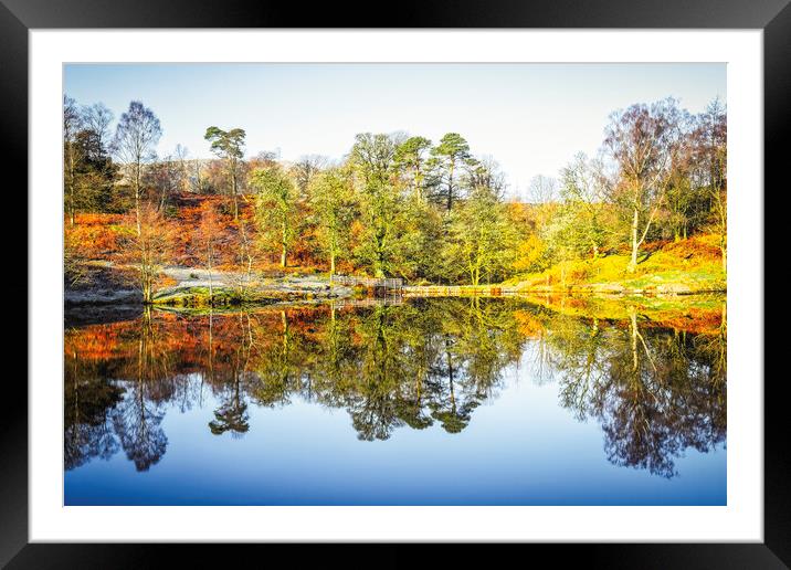 Tarn Hows Autumn Reflections Framed Mounted Print by Tim Hill