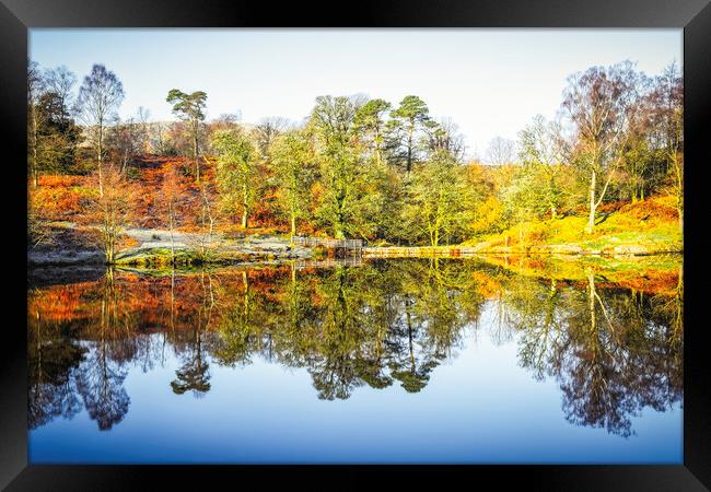 Tarn Hows Autumn Reflections Framed Print by Tim Hill