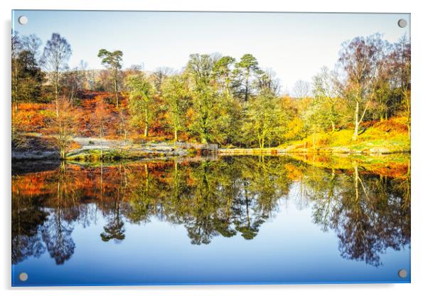 Tarn Hows Autumn Reflections Acrylic by Tim Hill