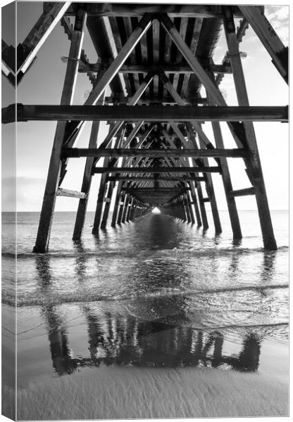 Steetley Pier Black and White Canvas Print by Tim Hill