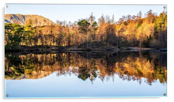 Tarn Hows Reflections: English Lake District Acrylic by Tim Hill