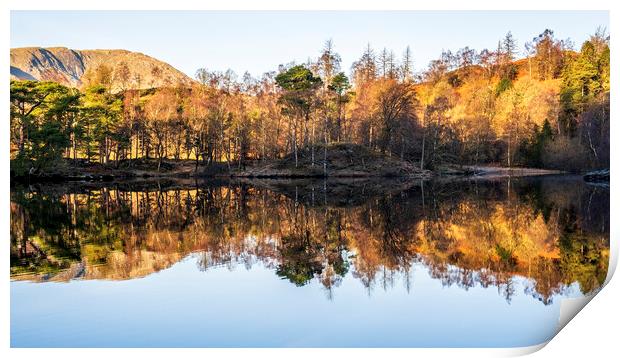 Tarn Hows Reflections: English Lake District Print by Tim Hill