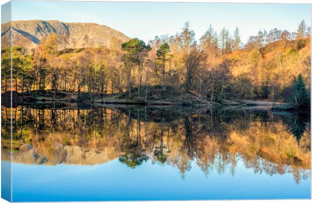 Tarn Hows Lake District National Park Canvas Print by Tim Hill