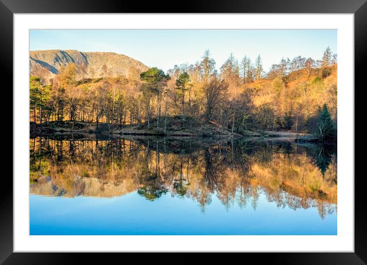 Tarn Hows Lake District National Park Framed Mounted Print by Tim Hill